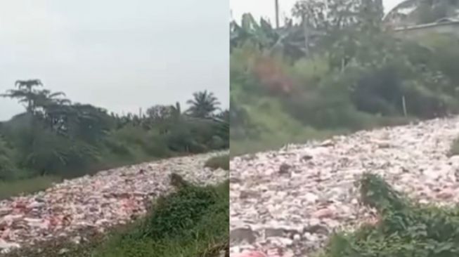 Beredar Video Tumpukan Sampah Di Aliran Sungai Warga Keluhkan Bau