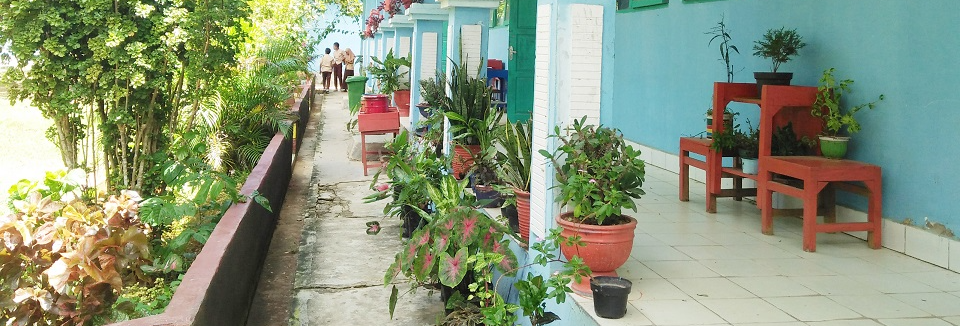 Sekolah Sehat