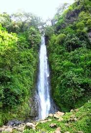 Gambar Opini