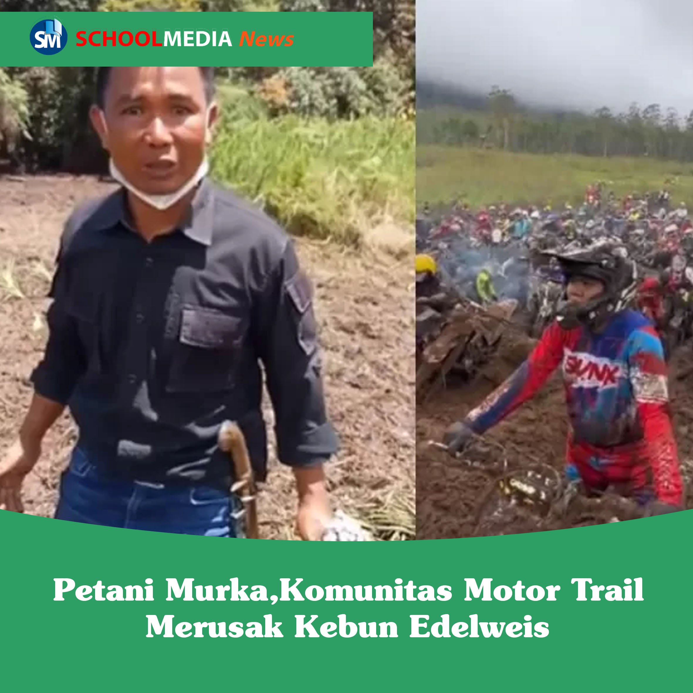 Trending Of The Week