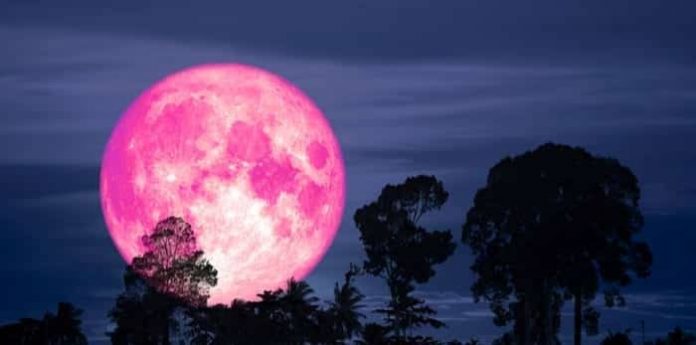 BMKG: Bulan Purnama Pink Terbesar Akan Tampak Pukul 01.08 WIB