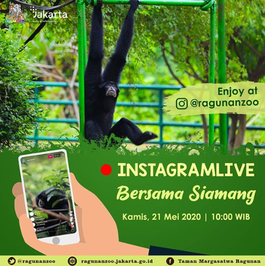 Hari Ini, Ragunan Buka Tur Visual via Instragram