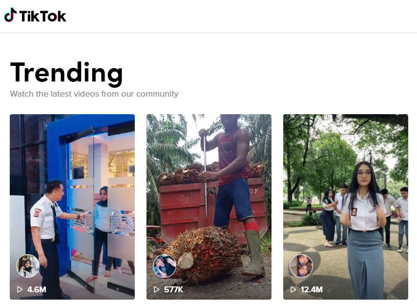 Fitur Family Pairing Tiktok, Libatkan Peran Aktif Orang Tua 