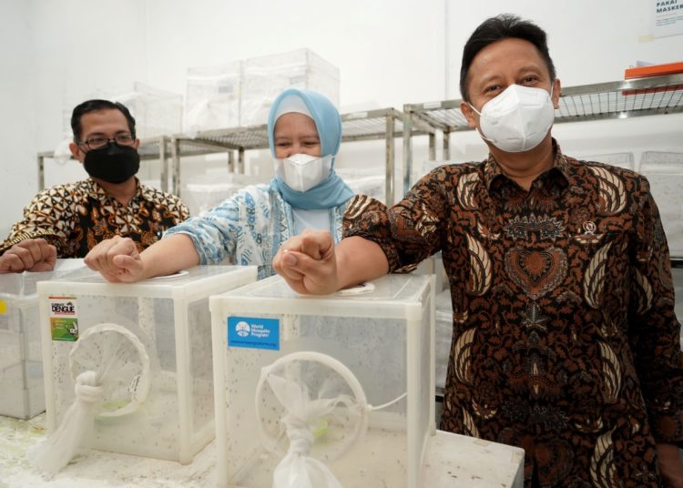 Wolbachia, Inovasi Baru Cegah Penyebaran DBD