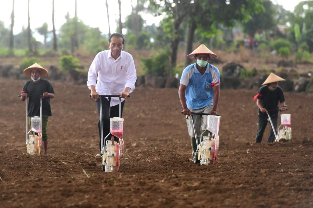 Presiden Jokowi Resmikan Bendungan Karalloe dan Tanam Jagung di Jeneponto