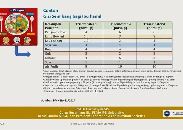 Penjelasan Lengkap Soal Pangan Cegah Stunting