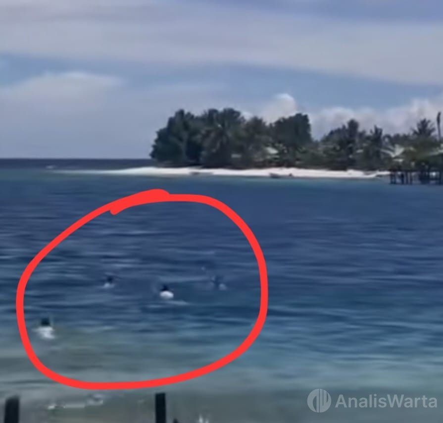 Anak Pulau Morotai Pulang Sekolah Harus Berenang, Video Mereka Menggugah Publik