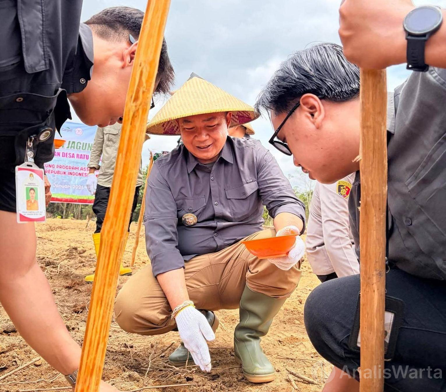 Bupati Alexander Tanam Jagung, Jadi Penanda Desa Ambil Peran Soal Pangan