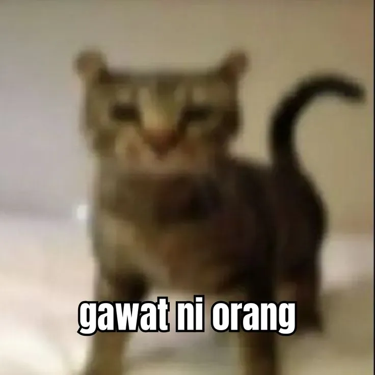 analitica seru banget jir... ak lebih suka yapping disini dibanding di x (ketagihan nambahin meme…