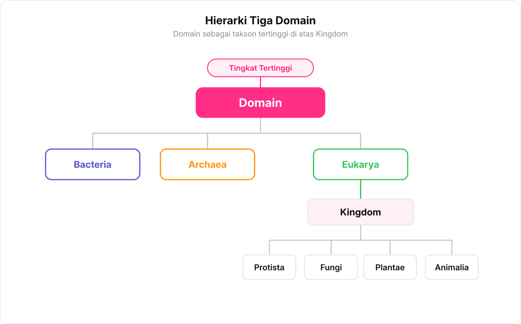 Diagram hierarki taksonomi modern menunjukkan Domain sebagai tingkat tertinggi yang membawahi Kingdom.