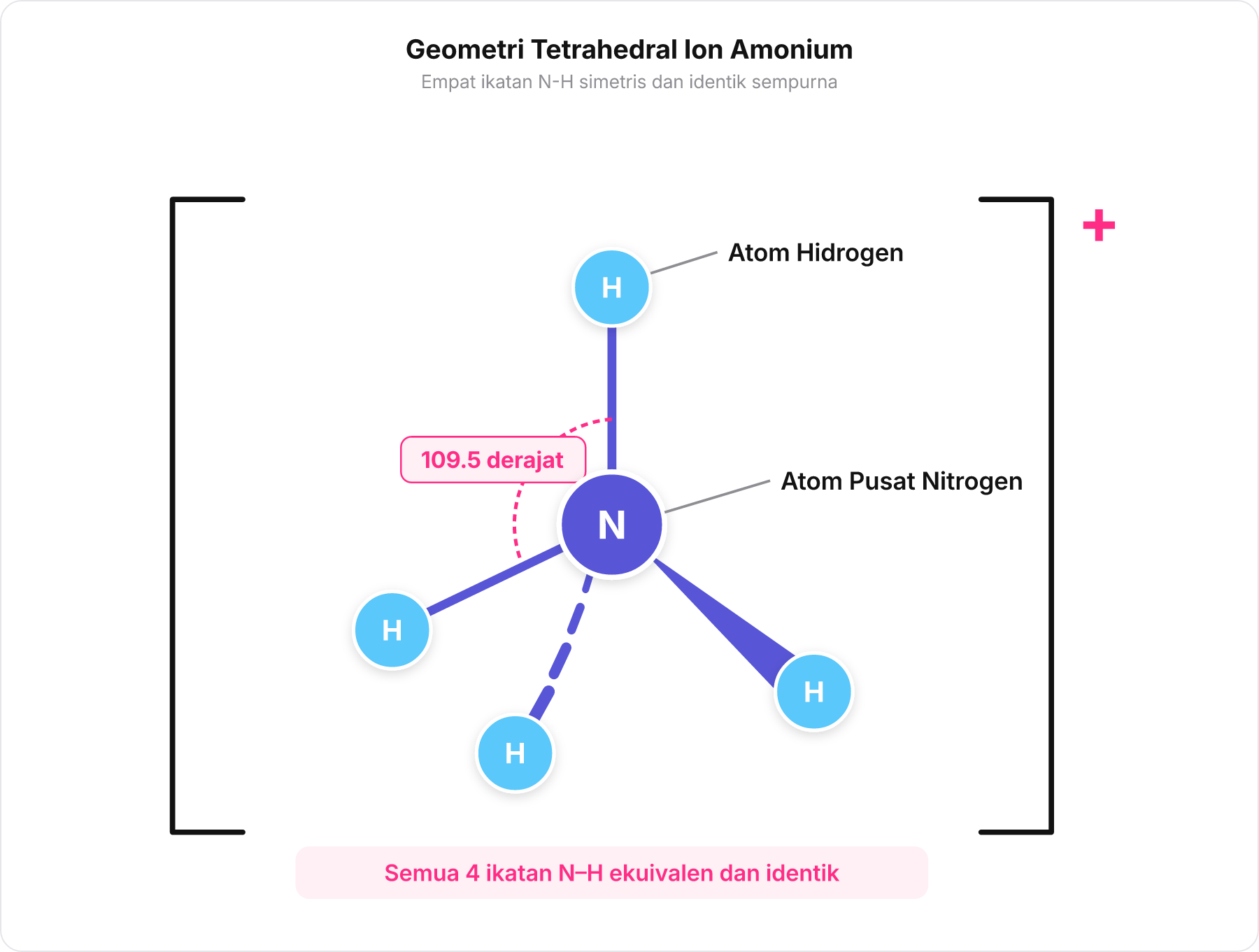 Diagram struktur tetrahedral ion amonium memperlihatkan empat ikatan N-H yang sama panjang dengan sudut 109.5 derajat.