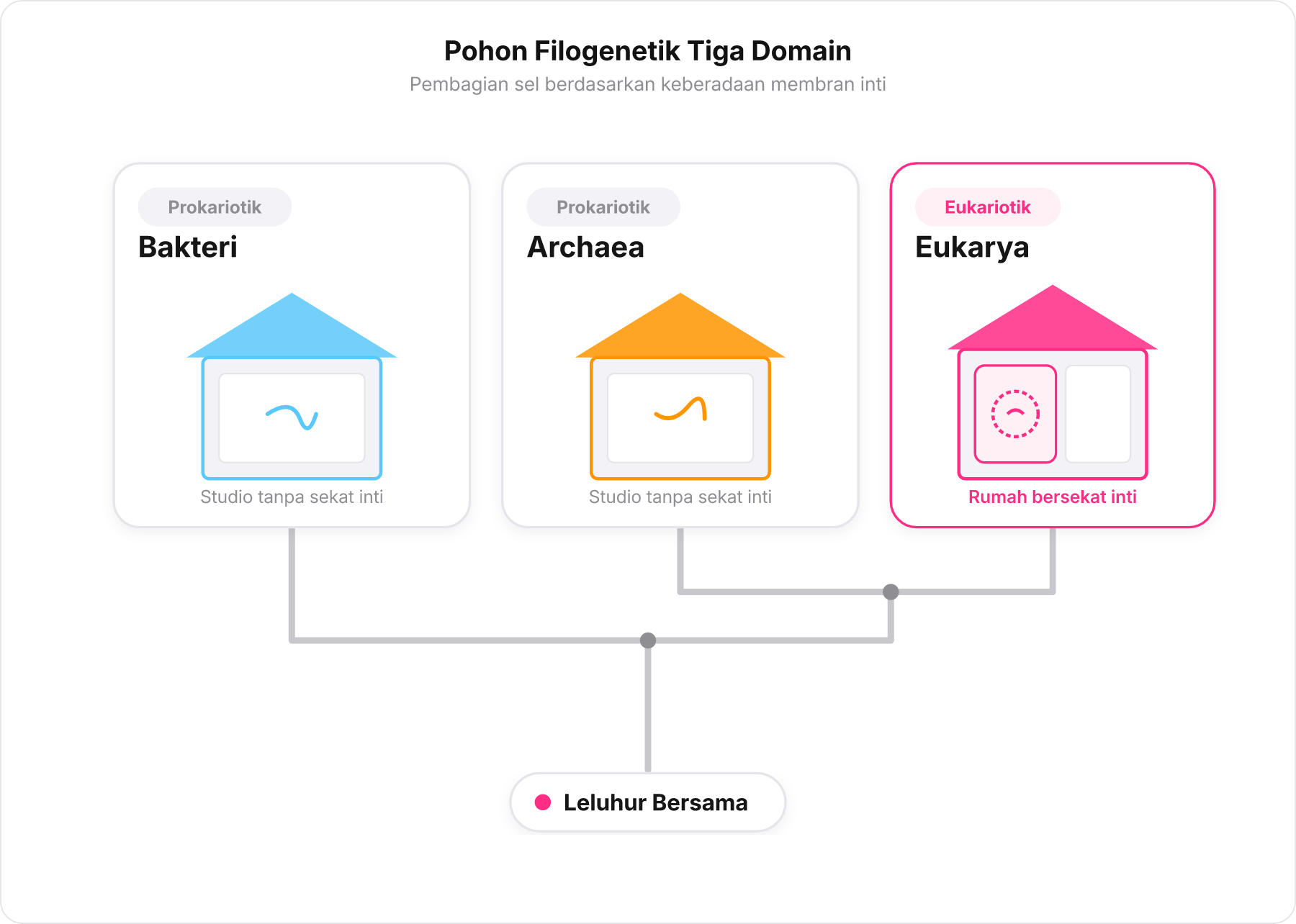 Bagan pohon filogenetik 3 domain kehidupan dengan analogi rumah studio dan rumah berkamar