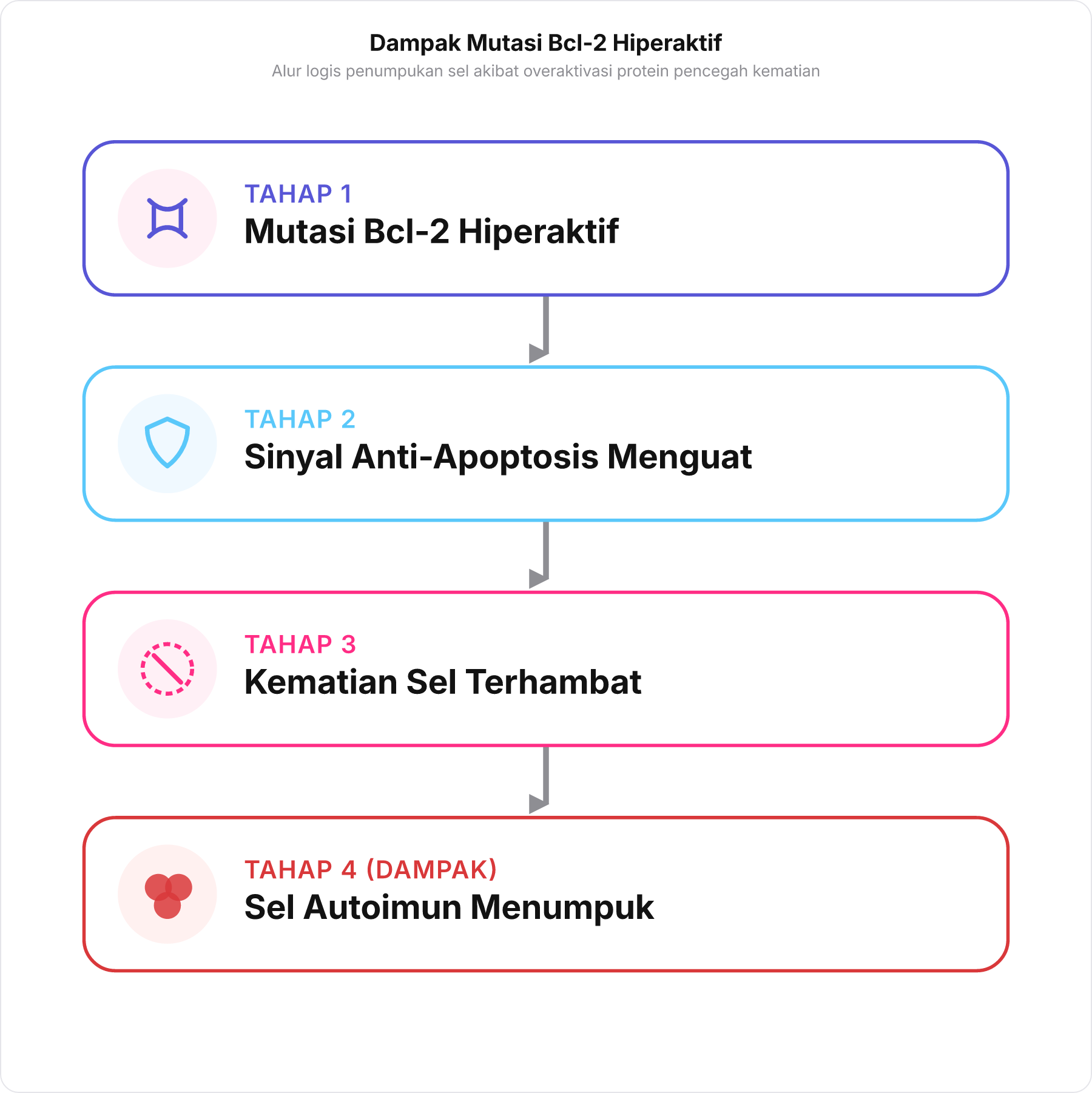 Diagram alir efek mutasi protein Bcl-2 hiperaktif terhadap penumpukan sel autoimun
