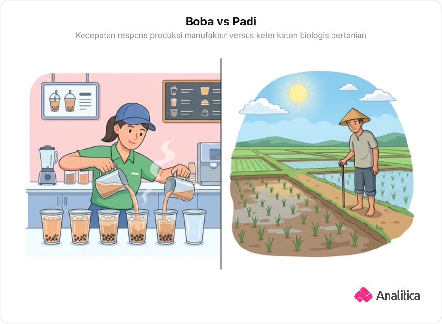 Perbandingan visual proses produksi teh boba yang instan dan cepat di sebelah kiri dengan petani yang menunggu pertumbuhan padi secara lambat di sawah di sebelah kanan