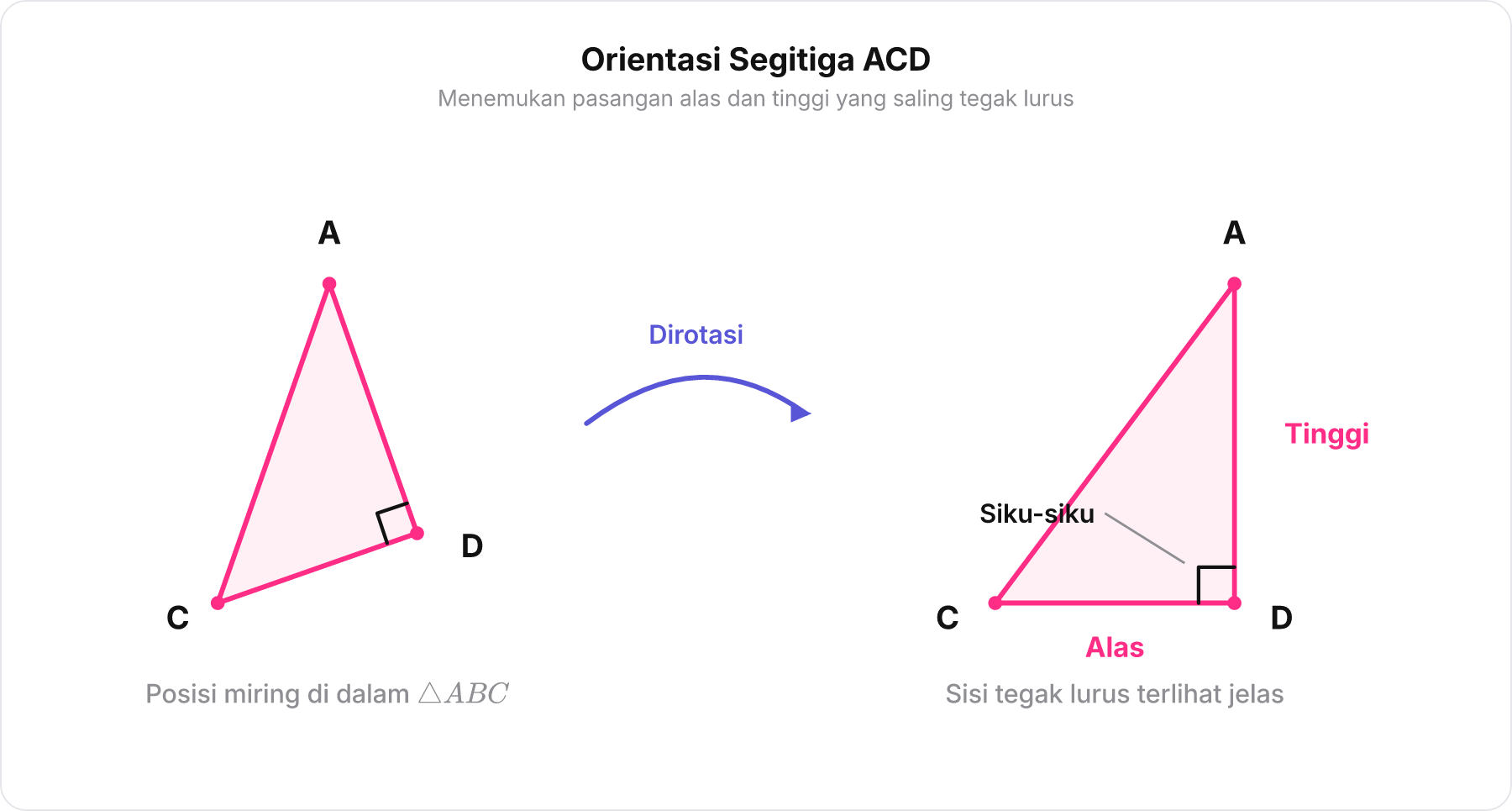 Diagram pemisahan dan orientasi segitiga siku-siku ACD