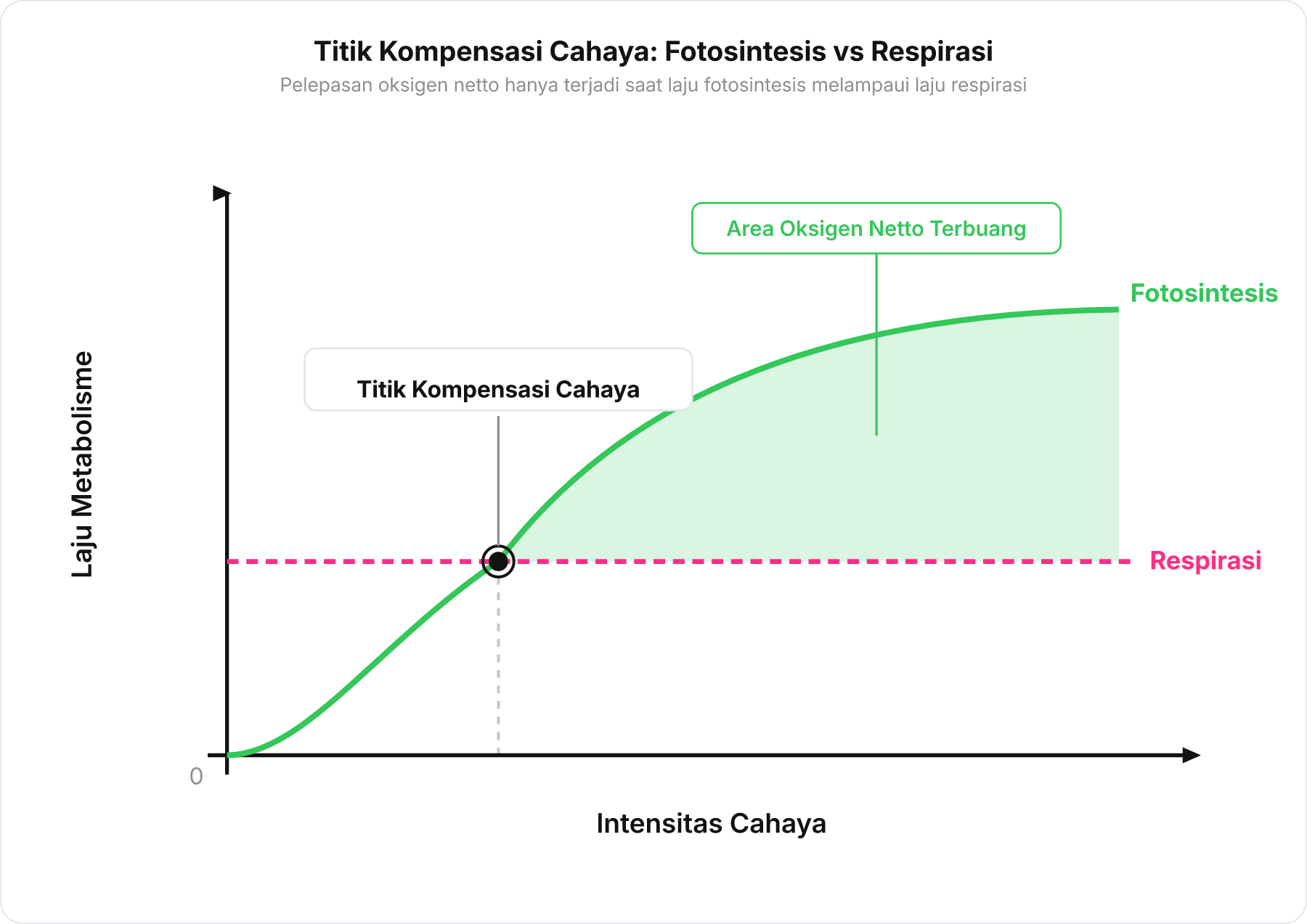 Grafik perbandingan laju fotosintesis dan respirasi terhadap intensitas cahaya menunjukkan titik kompensasi cahaya.