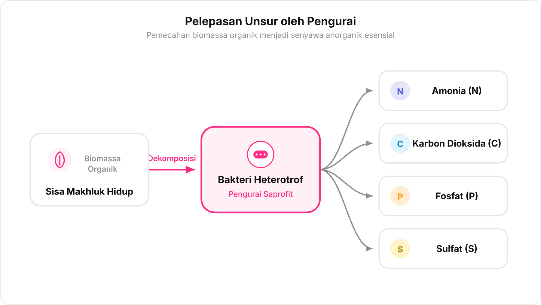 Bagan alir penguraian sisa makhluk hidup oleh bakteri heterotrof menjadi amonia, karbon dioksida, fosfat, dan sulfat.