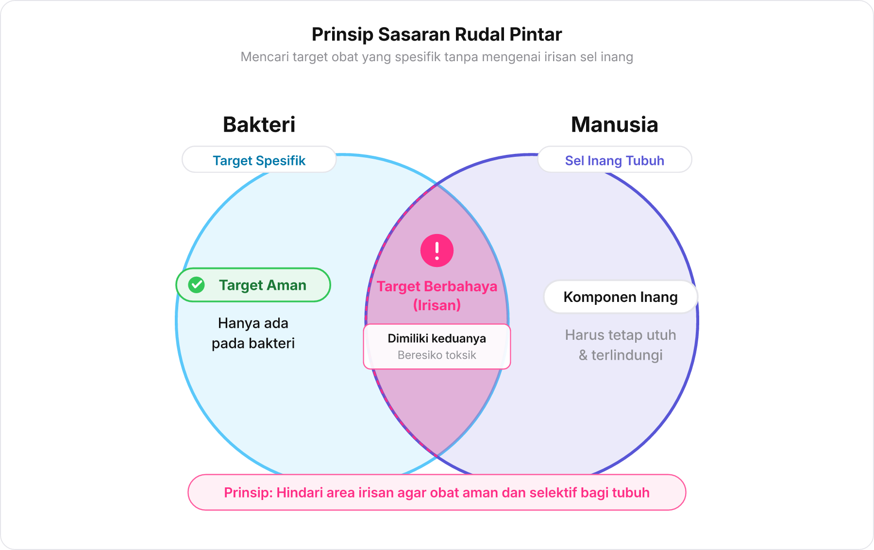 Diagram Venn komponen sel bakteri dan sel manusia menunjukkan irisan target berbahaya