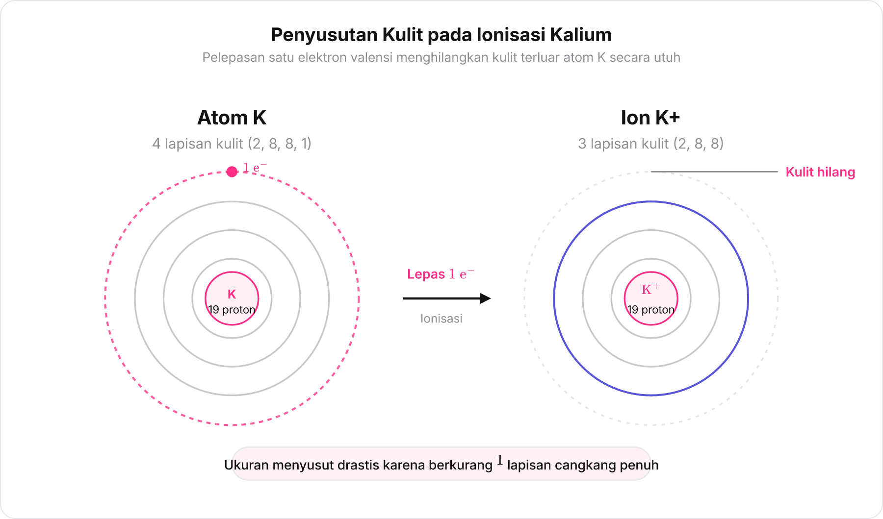 Diagram perbandingan atom kalium dan ion kalium yang kehilangan satu kulit terluar.