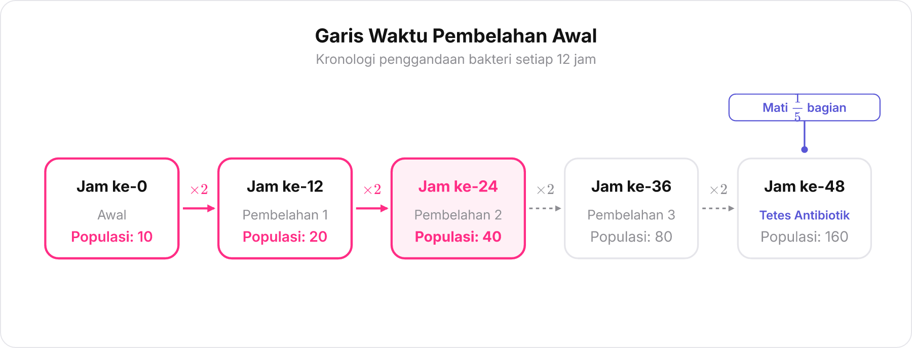 Garis waktu kronologis pertumbuhan bakteri dari jam ke-0 hingga jam ke-24.