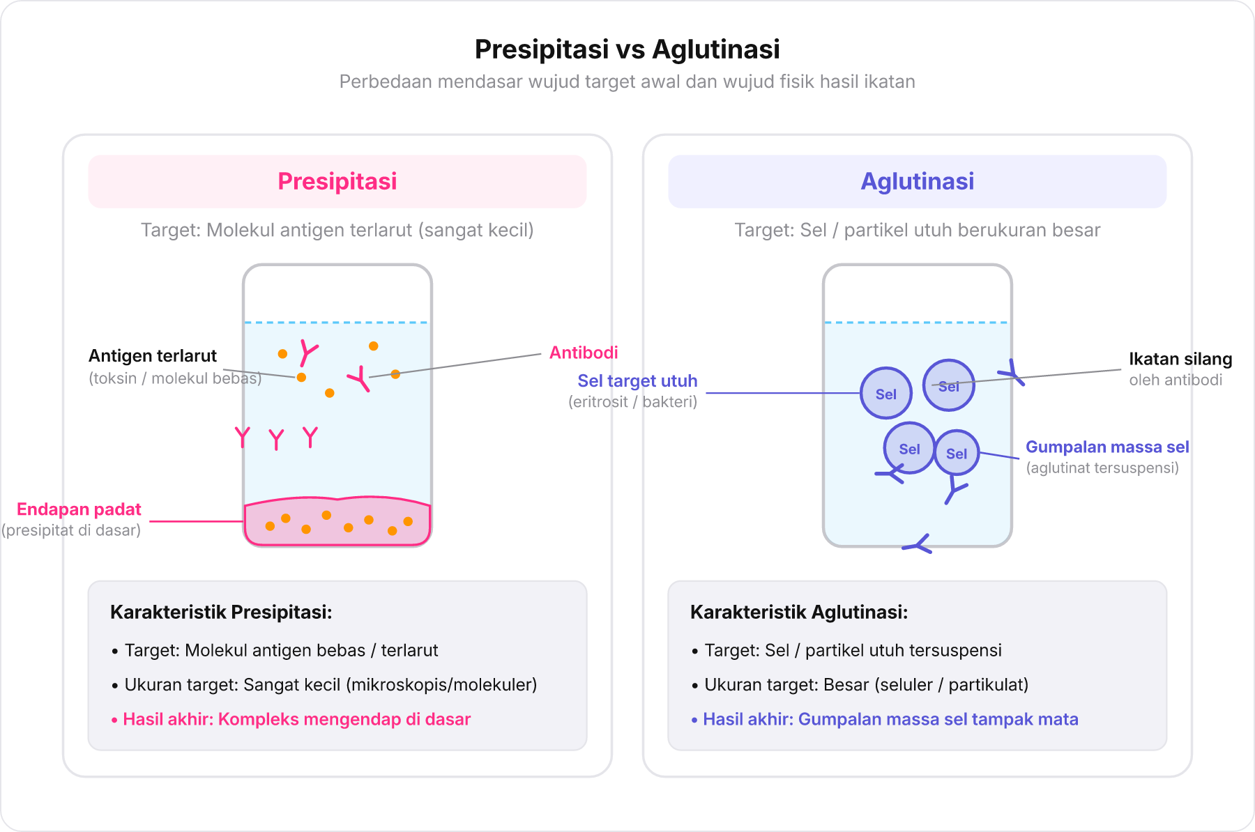Perbandingan berdampingan antara reaksi presipitasi antigen terlarut dan aglutinasi sel utuh oleh antibodi.