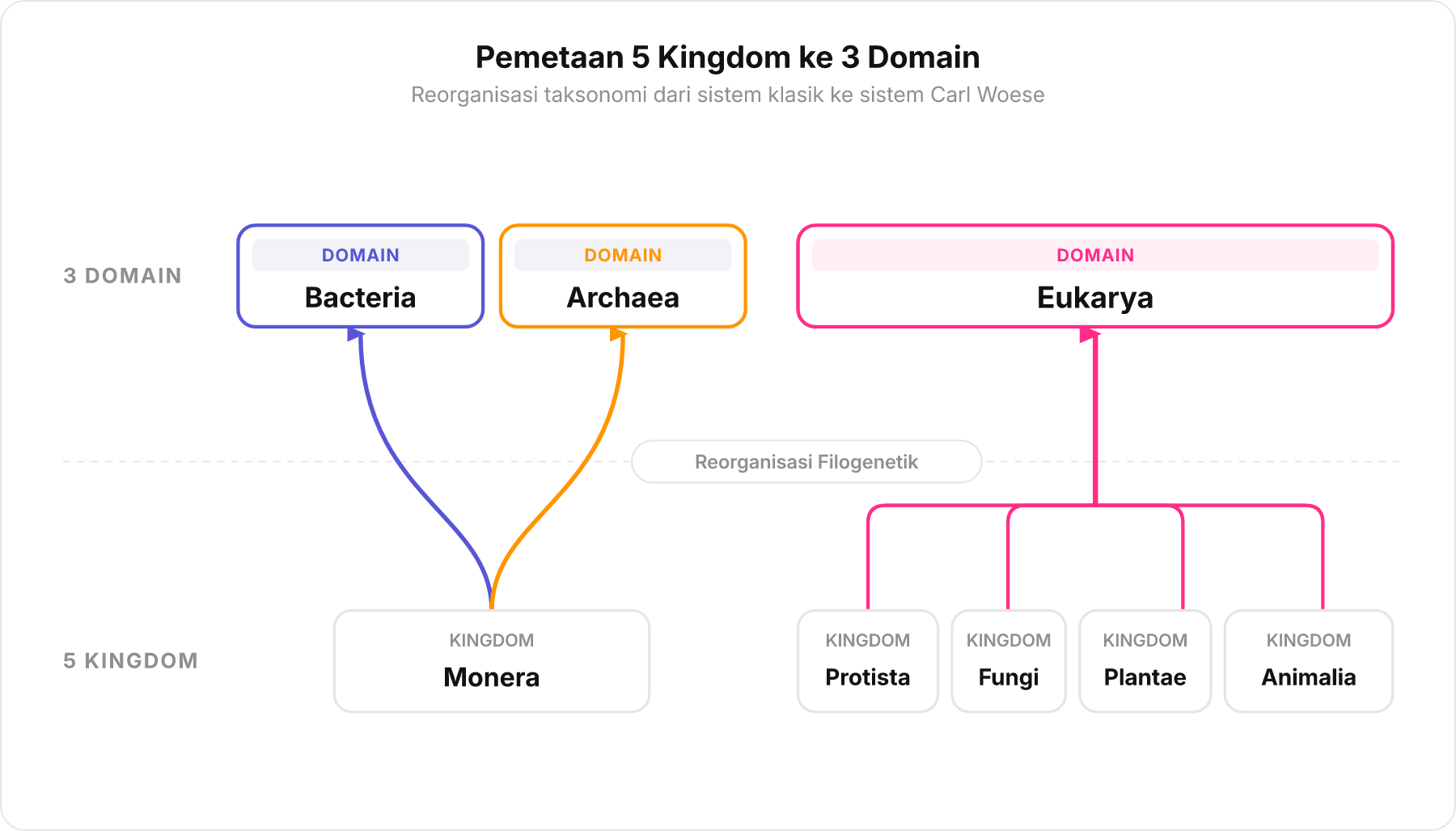Bagan pohon evolusi yang memetakan lima kingdom klasik ke dalam tiga cabang domain modern.