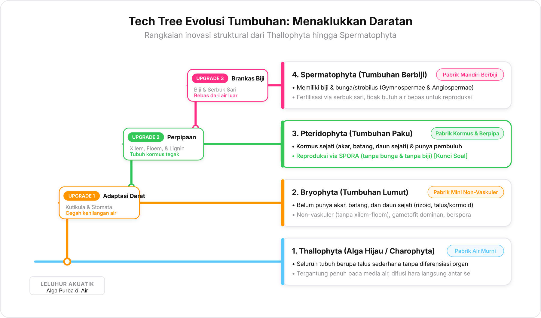 Diagram pohon filogeni evolusi Plantae yang didesain sebagai Tech Tree peningkatan adaptasi darat