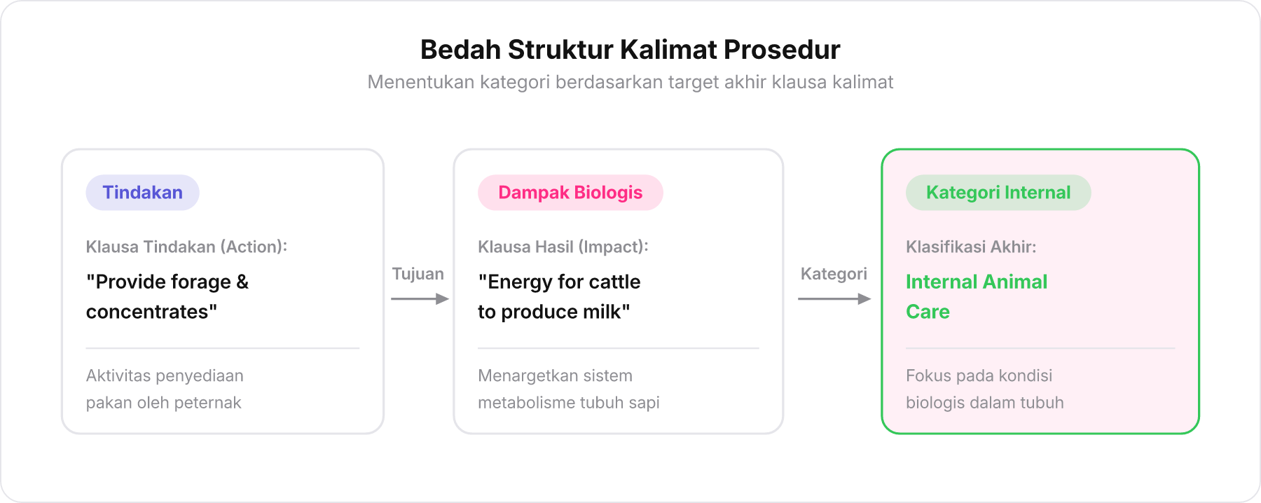 Diagram alur analisis kalimat dari tindakan penyediaan pakan menuju dampak metabolisme biologis sapi.