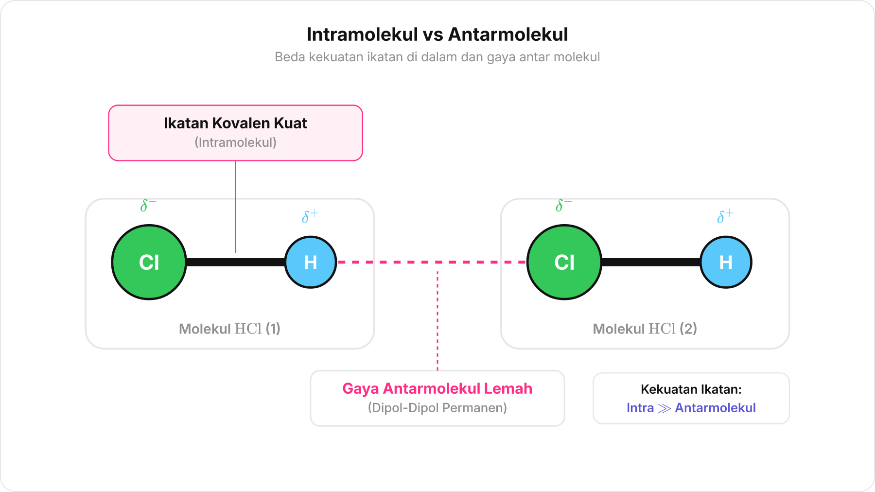 Perbandingan ikatan kovalen kuat di dalam molekul HCl dengan gaya antarmolekul yang lemah antarmolekul HCl.