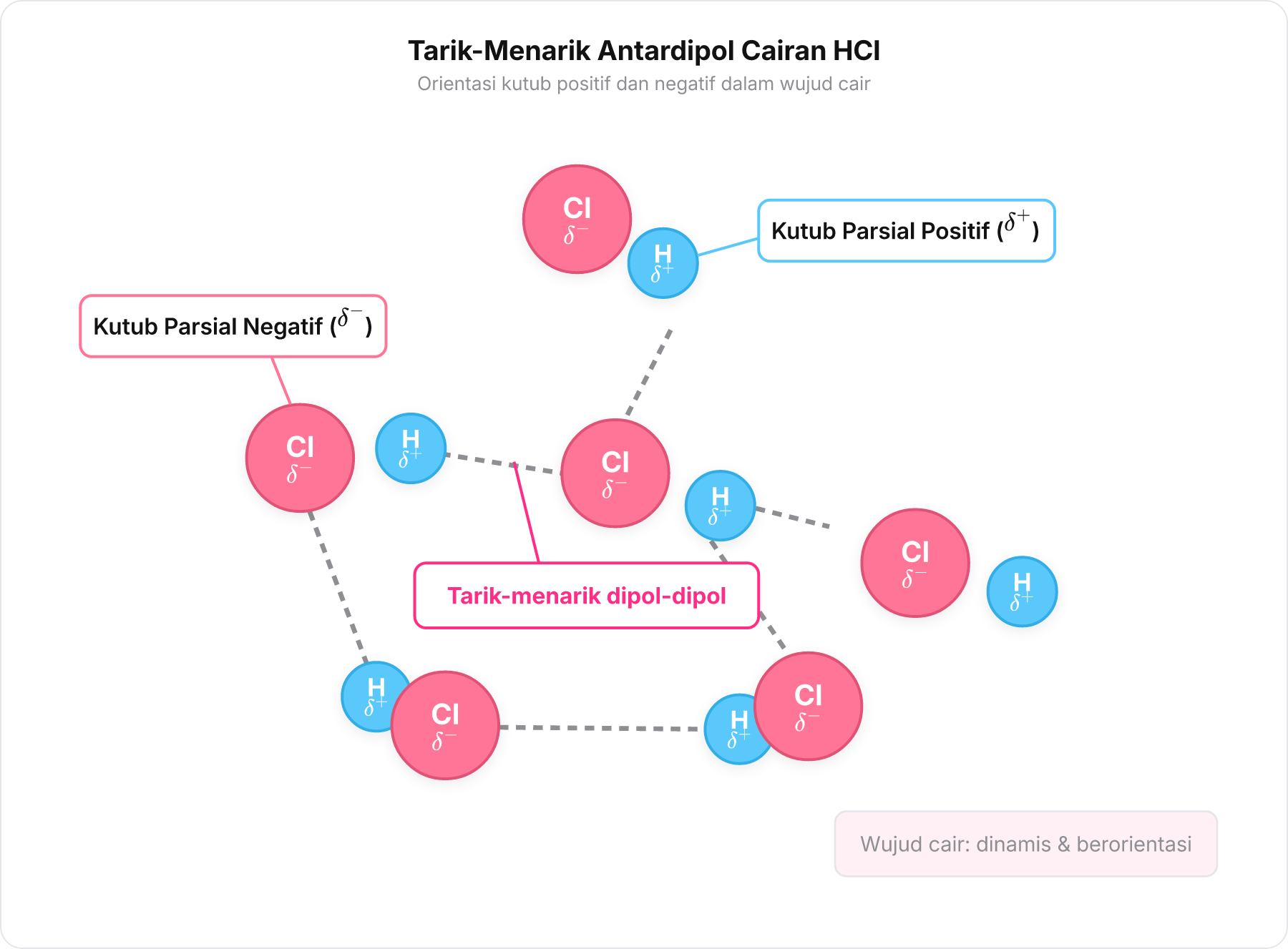 Ilustrasi orientasi kutub positif dan negatif antarmolekul HCl dalam wujud cair.