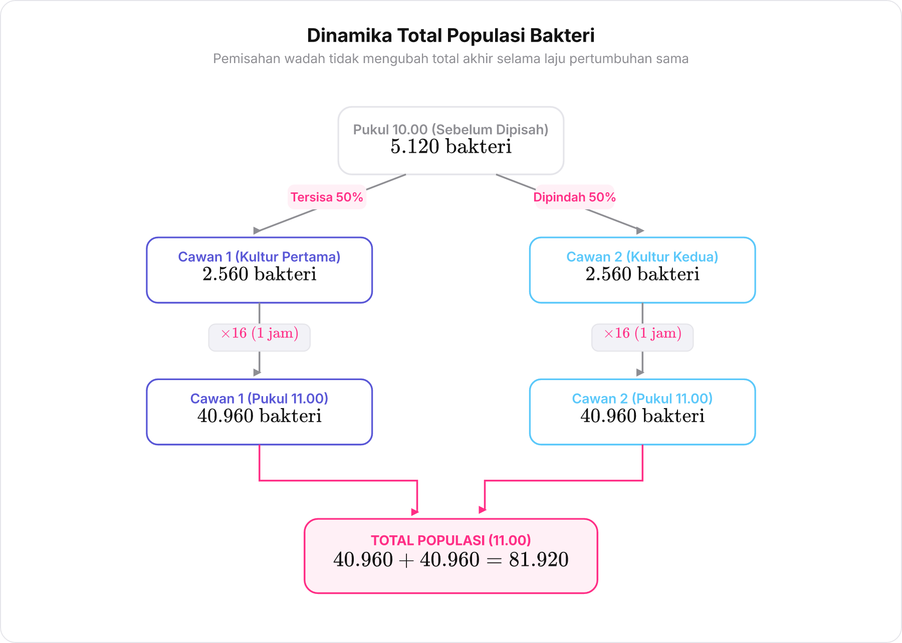 Diagram pohon pelestarian total populasi bakteri yang terbagi dua lalu digabungkan kembali.
