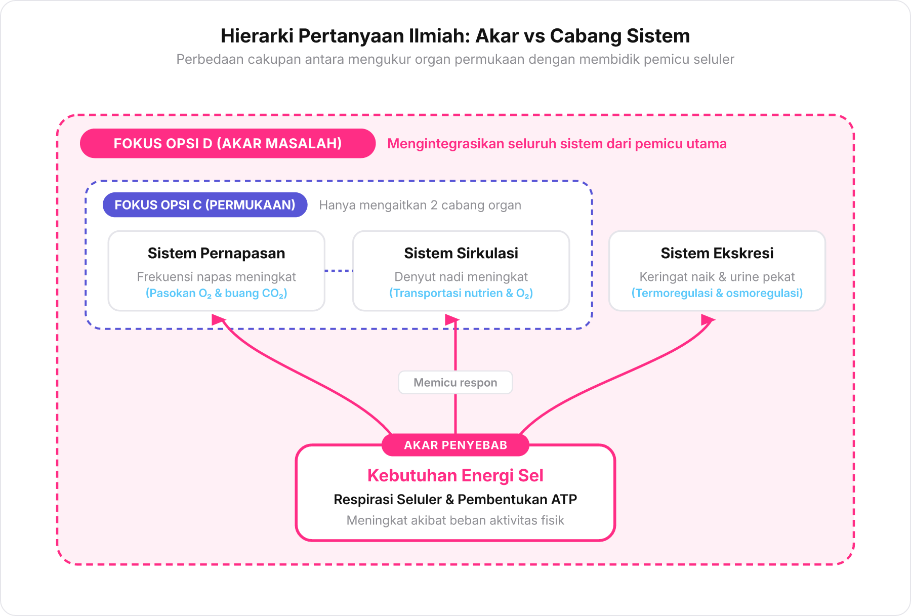 Diagram hierarki sebab-akibat yang membedakan pengamatan pada cabang organ permukaan dengan penyelidikan pada akar pemicu energi seluler.