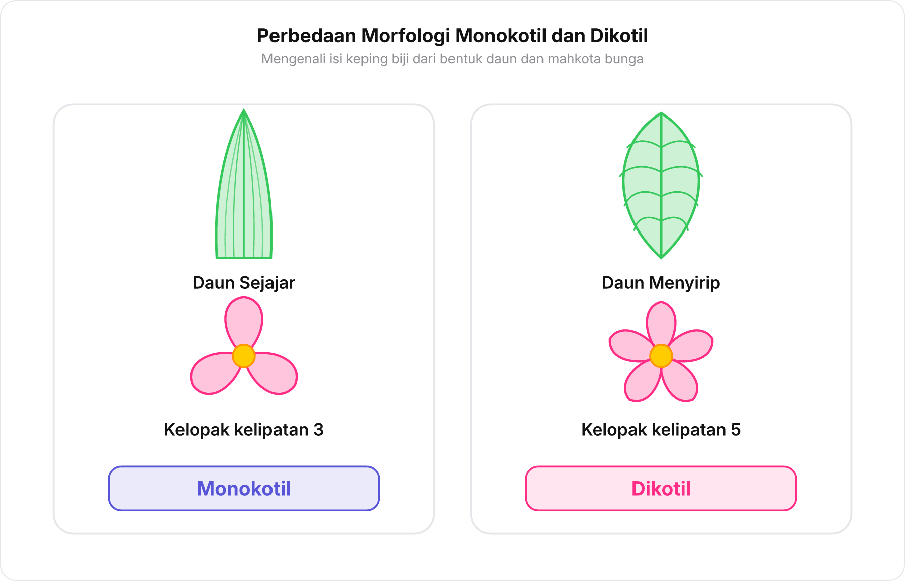 Perbandingan morfologi daun dan mahkota bunga antara Monokotil dan Dikotil