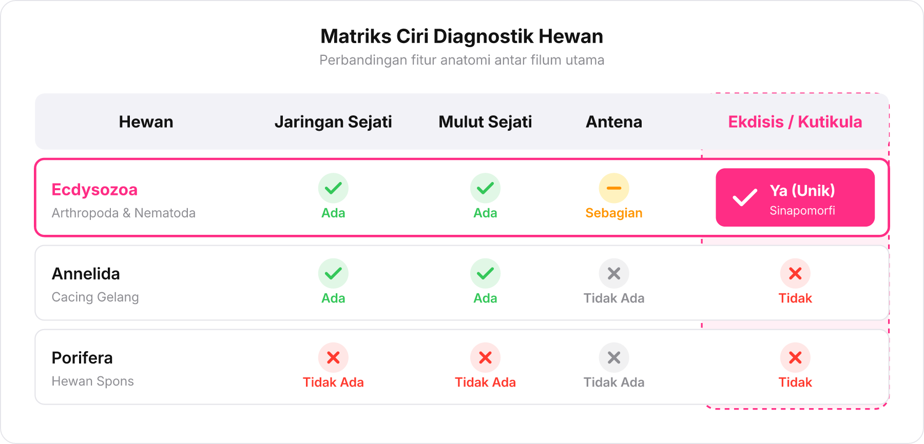 Tabel matriks perbandingan ciri anatomi antara Ecdysozoa, Annelida, dan Porifera