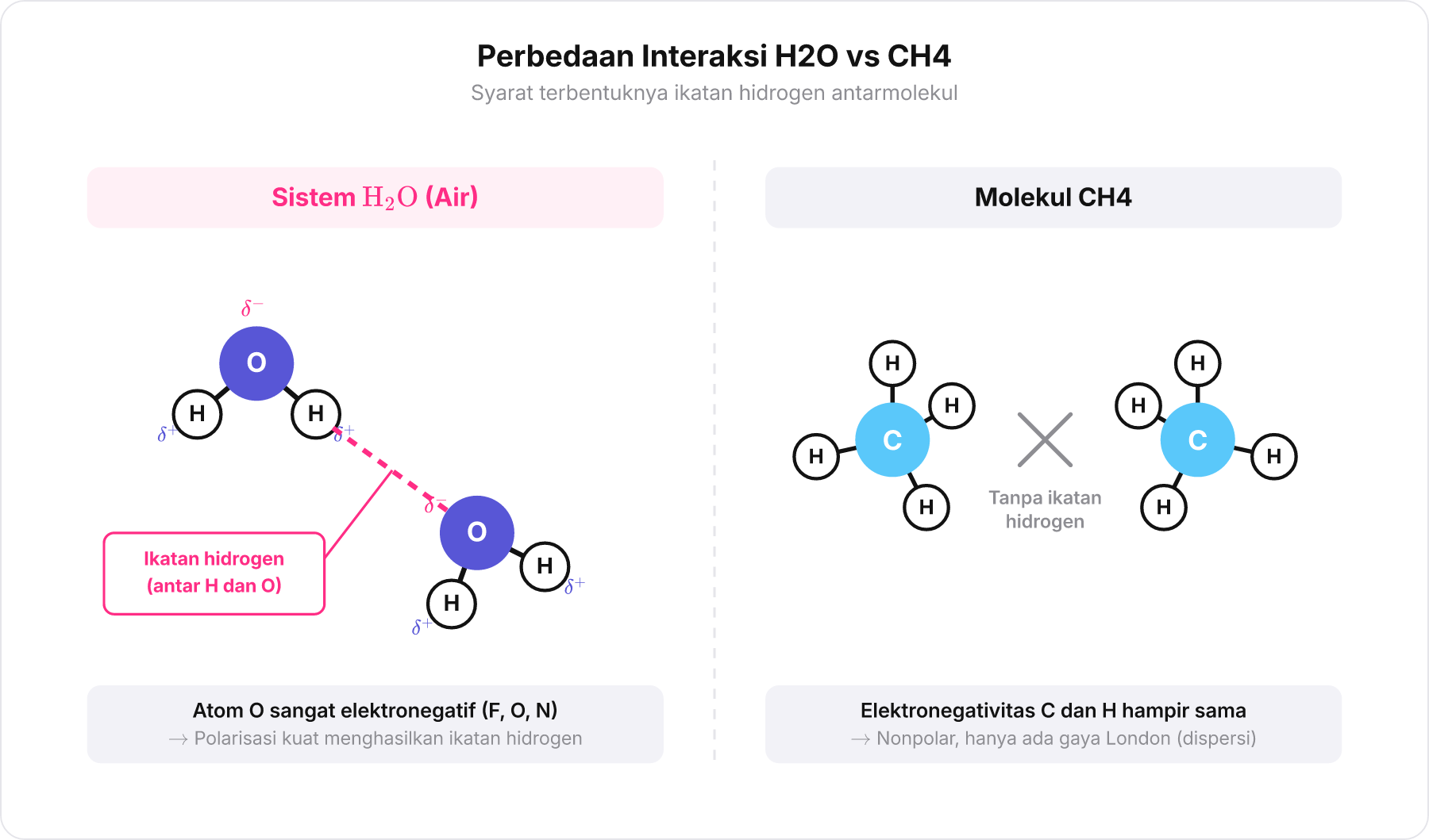 Perbandingan ikatan hidrogen antarmolekul pada H2O dan ketiadaan ikatan hidrogen pada CH4
