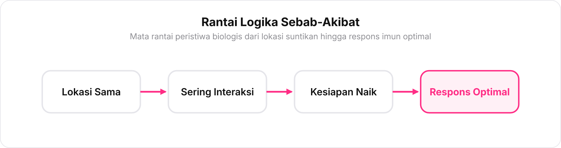 Diagram alir horizontal 4 langkah rantai sebab akibat respons imun vaksin booster