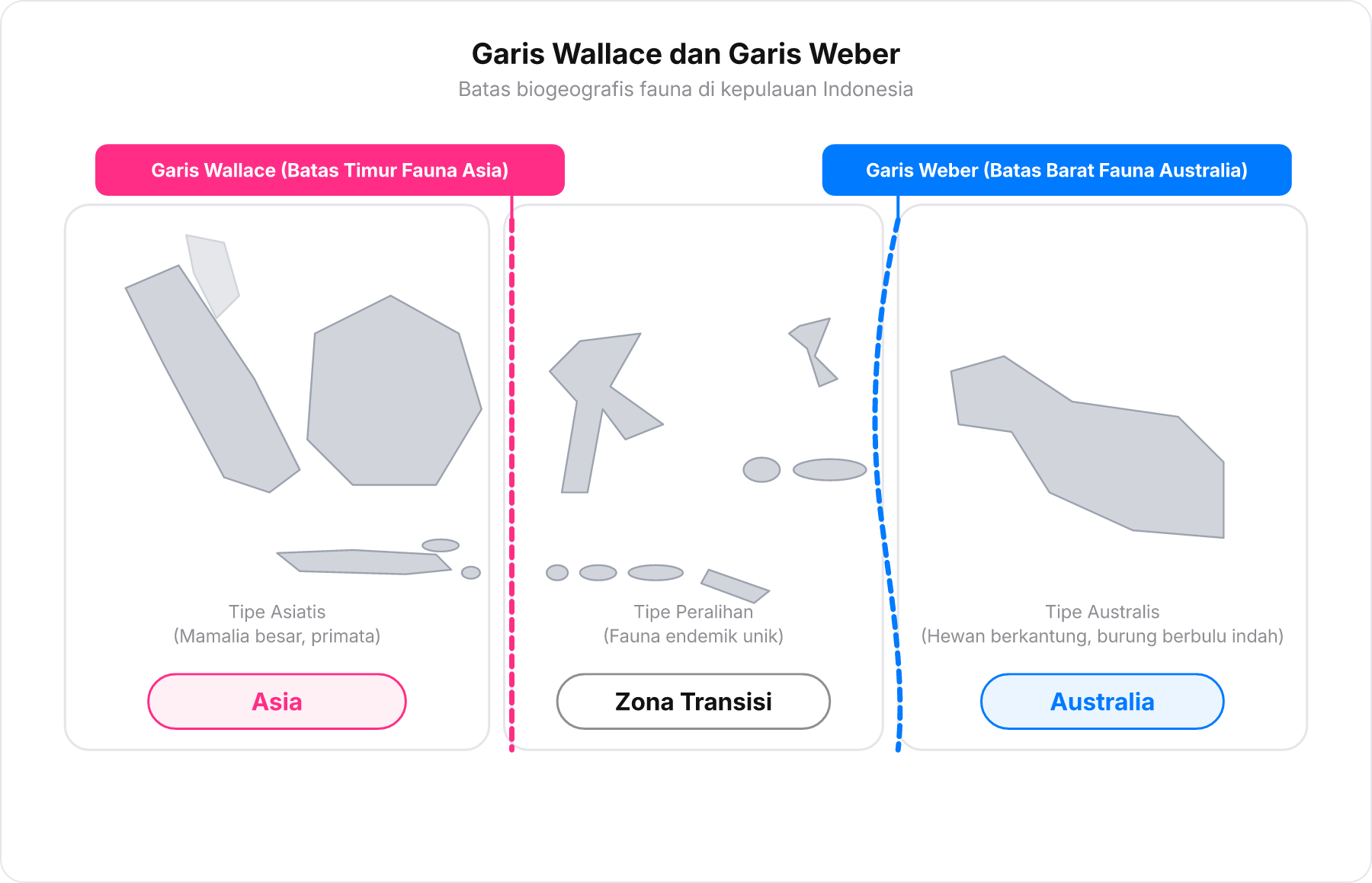 Peta skematis pembagian fauna Indonesia dengan Garis Wallace dan Garis Weber.