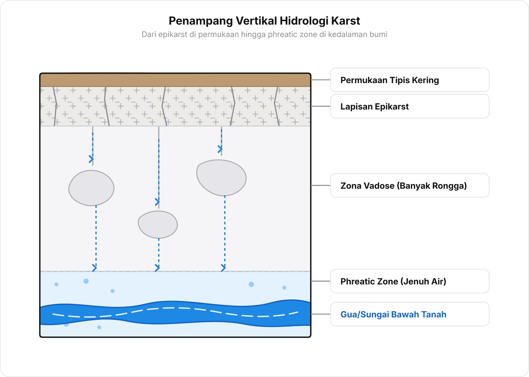 Diagram skematis penampang vertikal hidrogeologi bukit karst dari lapisan tanah permukaan hingga zona jenuh phreatic dan sungai bawah tanah.
