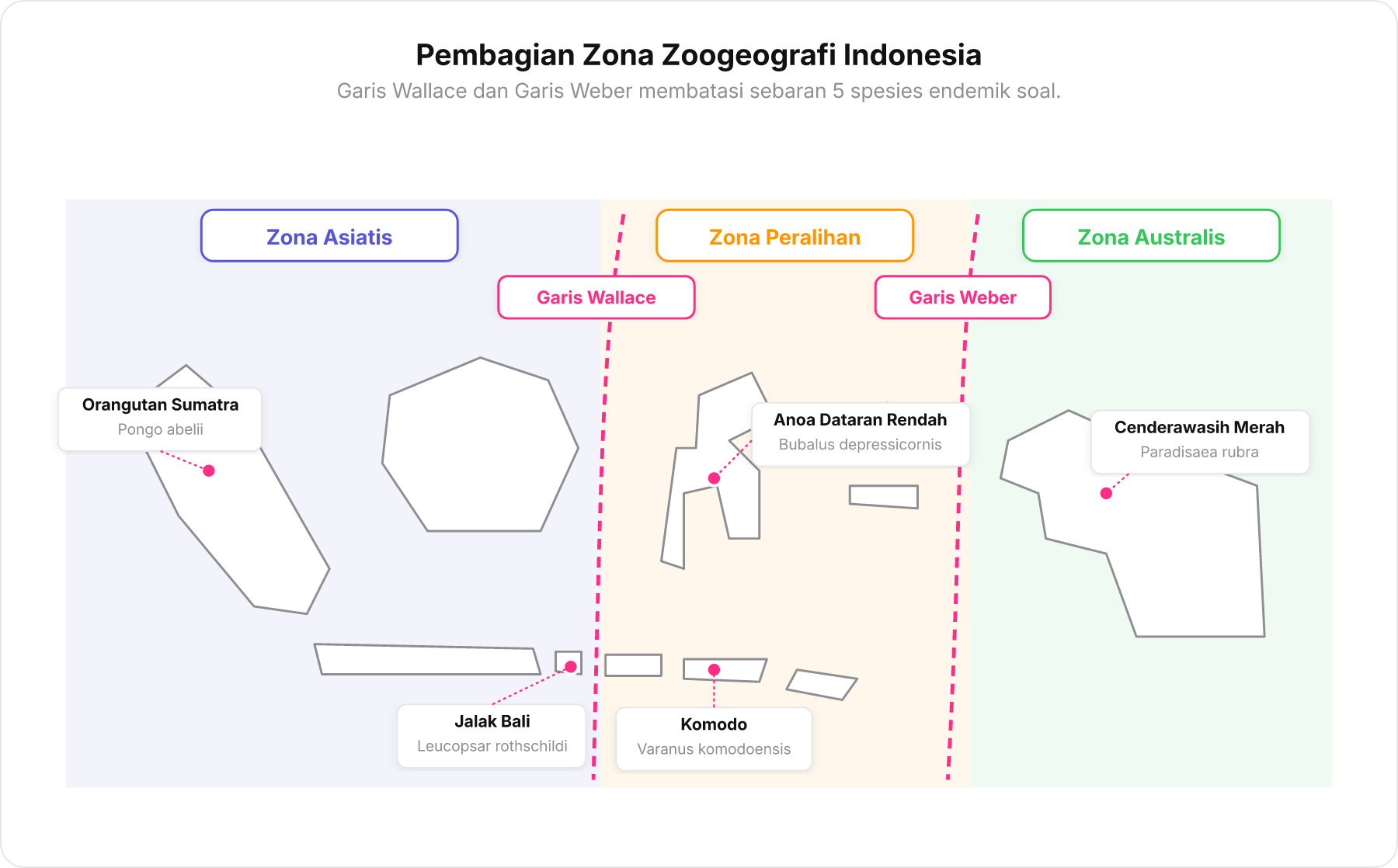 Peta sederhana zoogeografi Indonesia membagi tiga zona: Asiatis, Peralihan, dan Australis oleh Garis Wallace dan Garis Weber beserta sebaran 5 spesies fauna.