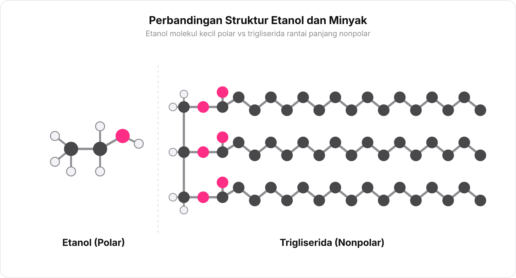 Perbandingan struktur molekul etanol berukuran kecil dan trigliserida berantai panjang.