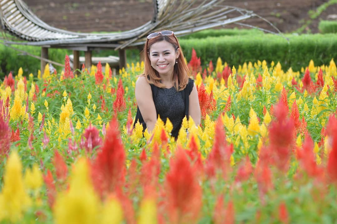 Agrowisata Taman Suruh Warna Baru: Collaboration Between Branding Tourism and Agriculture Sector