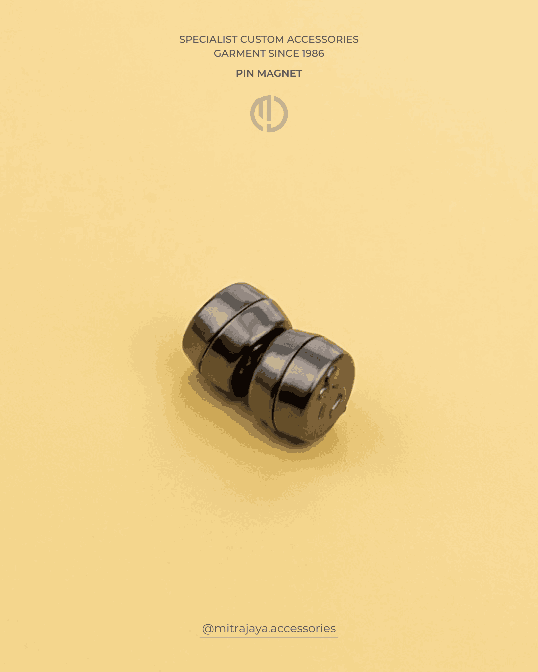 Pin Magnet