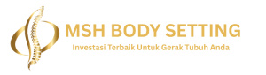 MSH Body Setting