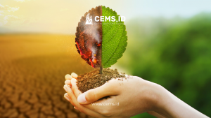 2. Dampak Positif CEMS terhadap Lingkungan

Canva