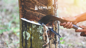 Implementasi CEMS di Industri Karet

Canva