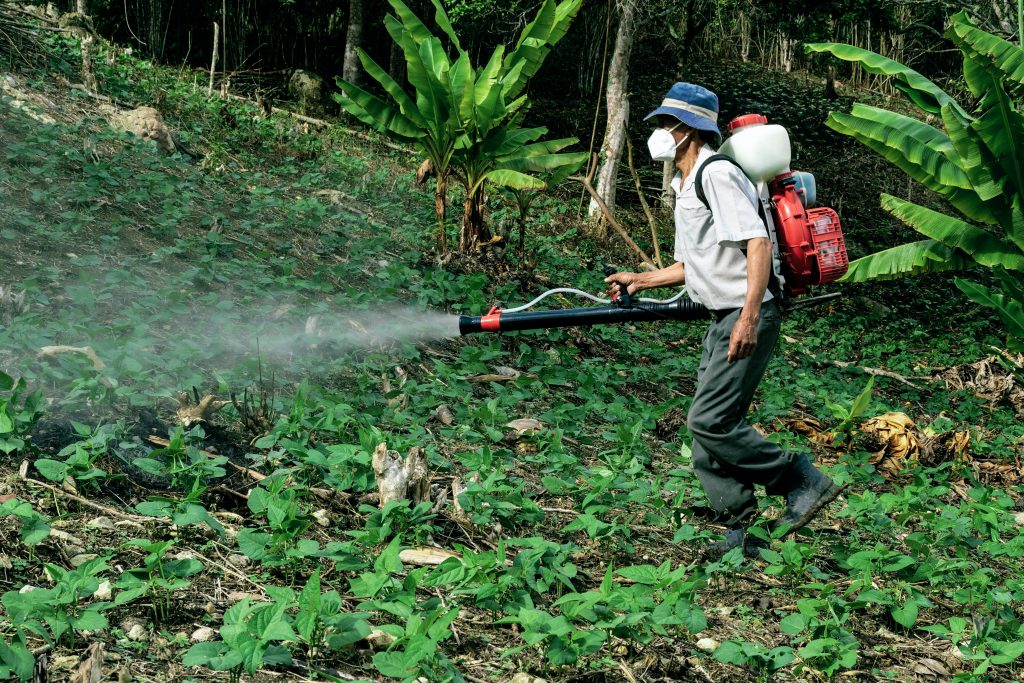 Strategi Pengendalian dan Solusi Inovatif
Foto oleh Gilmer Diaz Estela: https://www.pexels.com/id-id/foto/kayu-pria-pertanian-tanaman-6345502/