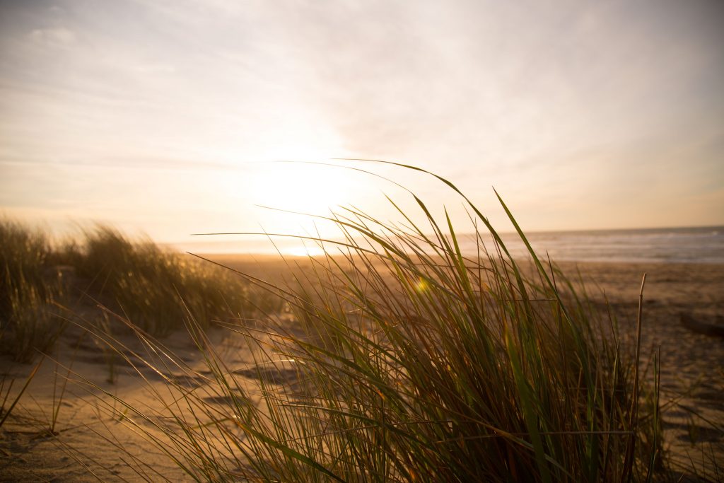 https://www.pexels.com/id-id/foto/fotografi-pemandangan-pantai-7763/