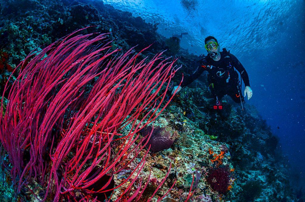 https://www.pexels.com/id-id/foto/laut-air-samudra-pemandangan-laut-4610203/