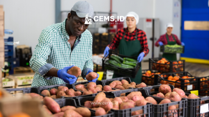 Manfaat CEMS dalam Industri Pengolahan Makanan dan Minuman

Canva