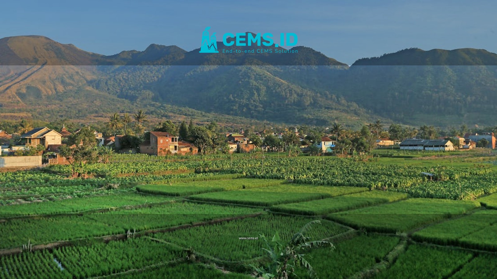 Beautiful view of green rice paddies against mountains in a rural landscape.